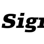 Signa Slab Pro