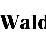 Waldorf TL Pro