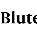 Bluteau Pro