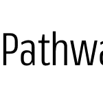 Pathway Extreme Condensed