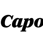 Caponi Display