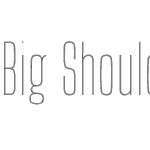 Big Shoulders Inline Display