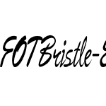 FOTBristle