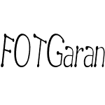 FOTGarandrun