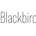 Blackbird