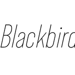 Blackbird