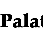 Palatino