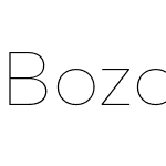 Bozon