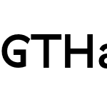 GT Haptik