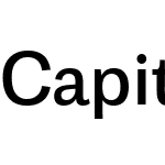 Capital Gothic