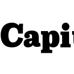 Capital Serif