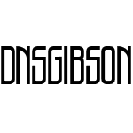 DNS Gibsons One