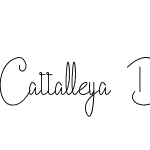 Cattalleya Demo