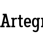 Artegra Slab Condensed