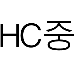 HC중고딕2