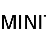 MINIType v2 Regular