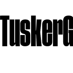 Tusker Grotesk