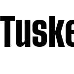 Tusker Grotesk