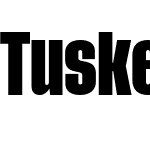 Tusker Grotesk