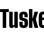 Tusker Grotesk