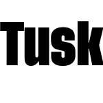 Tusker Grotesk