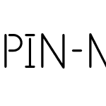 PIN