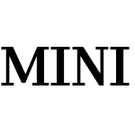 MINI Serif