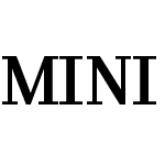 MINI Serif Bold