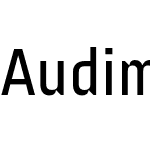 Audimat 3000