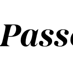 PassengerDisplay-BoldItalic