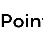 Point DEMO