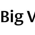 Big Vesta Pro