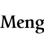 Mengelt Basel Antiqua W1G