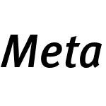 Meta Pro