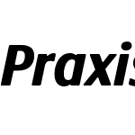 Praxis Next