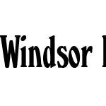 Windsor Pro