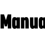 Manual