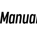 Manual