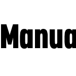 Manual