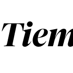 Tiempos Fine