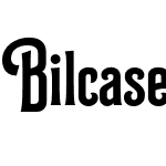 Bilcase Demo