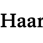 Haarlem Medium