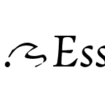 EssayText-Italic