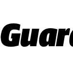 Guardian Sans Narrow