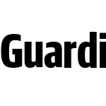 Guardian Sans XCond