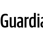 Guardian Sans XCond