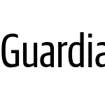 Guardian Sans XCond