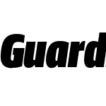 Guardian Sans XCond