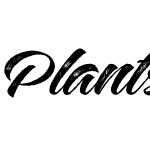 Plants