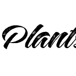 Plants